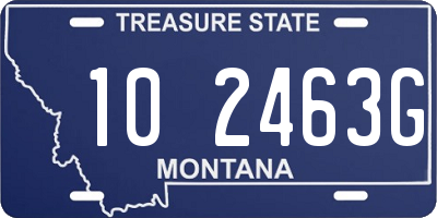 MT license plate 102463G