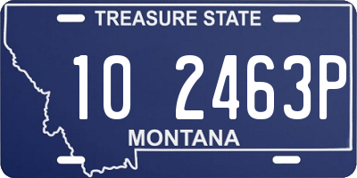 MT license plate 102463P