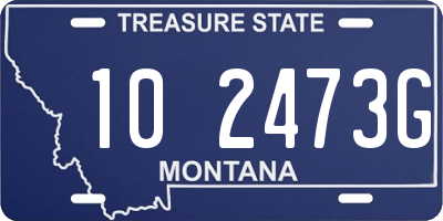 MT license plate 102473G