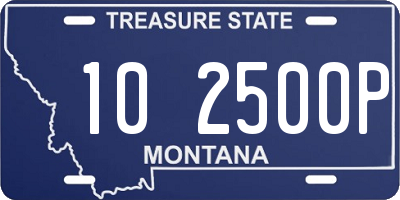 MT license plate 102500P