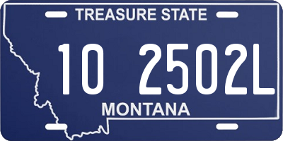 MT license plate 102502L