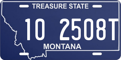 MT license plate 102508T