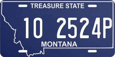 MT license plate 102524P