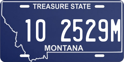 MT license plate 102529M