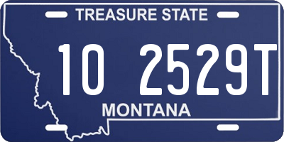 MT license plate 102529T