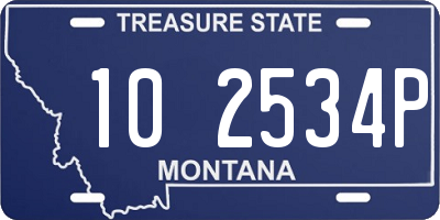 MT license plate 102534P