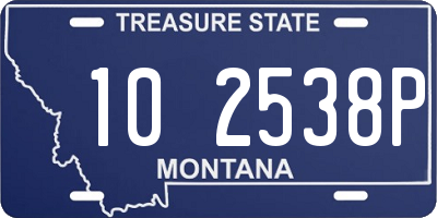 MT license plate 102538P