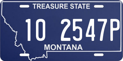 MT license plate 102547P