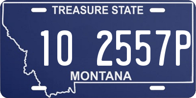 MT license plate 102557P