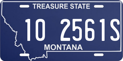 MT license plate 102561S