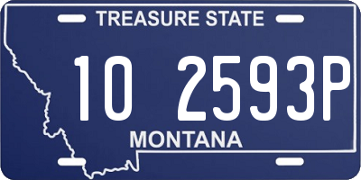 MT license plate 102593P