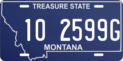 MT license plate 102599G