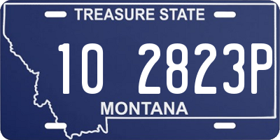 MT license plate 102823P