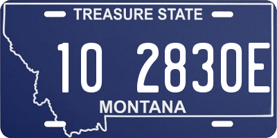 MT license plate 102830E