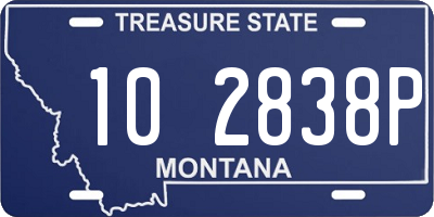 MT license plate 102838P