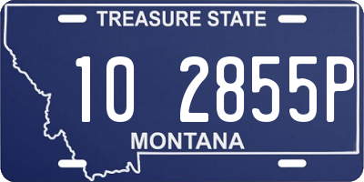 MT license plate 102855P