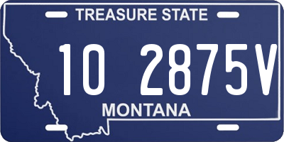 MT license plate 102875V