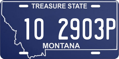 MT license plate 102903P