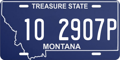 MT license plate 102907P