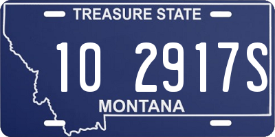 MT license plate 102917S