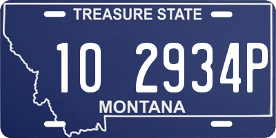 MT license plate 102934P