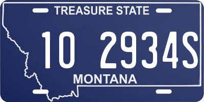 MT license plate 102934S