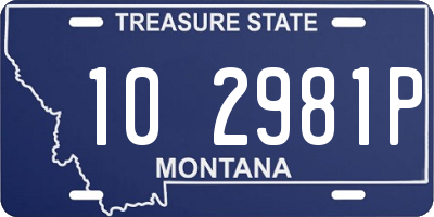 MT license plate 102981P