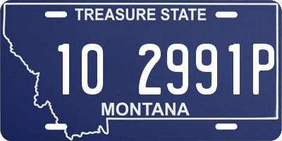 MT license plate 102991P