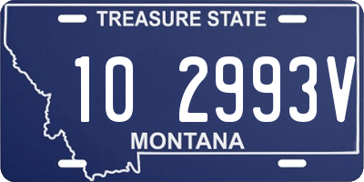 MT license plate 102993V