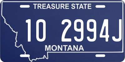 MT license plate 102994J