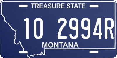 MT license plate 102994R