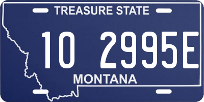 MT license plate 102995E