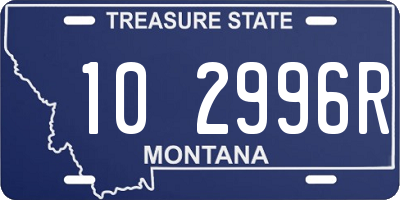 MT license plate 102996R