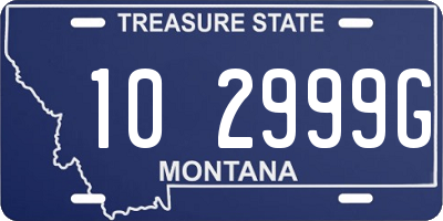 MT license plate 102999G