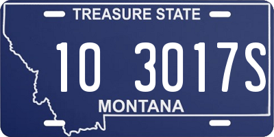 MT license plate 103017S