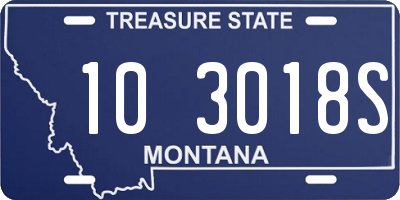 MT license plate 103018S