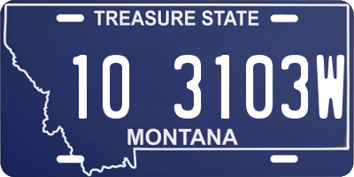 MT license plate 103103W