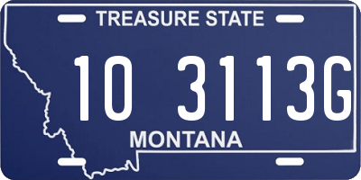 MT license plate 103113G