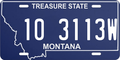 MT license plate 103113W