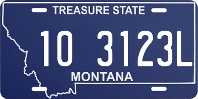 MT license plate 103123L