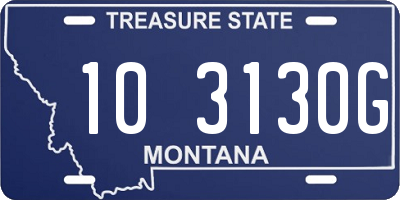 MT license plate 103130G