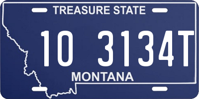 MT license plate 103134T