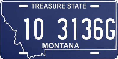 MT license plate 103136G