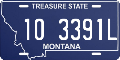 MT license plate 103391L