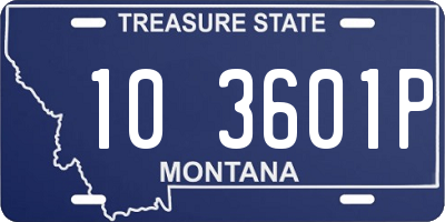 MT license plate 103601P