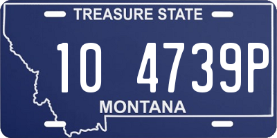 MT license plate 104739P