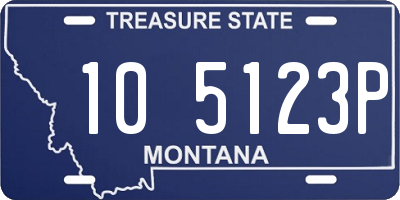 MT license plate 105123P