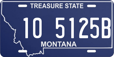 MT license plate 105125B