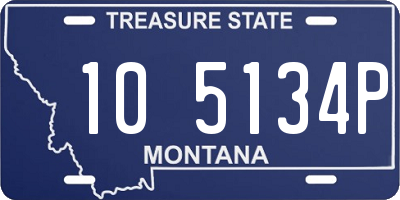 MT license plate 105134P