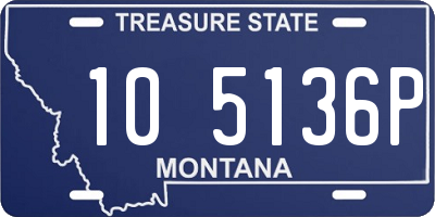 MT license plate 105136P